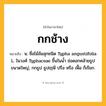 กกช้าง ความหมาย หมายถึงอะไร?, คำในภาษาไทย กกช้าง หมายถึง น. ชื่อไม้ล้มลุกชนิด Typha angustifolia L. ในวงศ์ Typhaceae ขึ้นในนํ้า ช่อดอกคล้ายธูปขนาดใหญ่, กกธูป ธูปฤๅษี ปรือ หรือ เฟื้อ ก็เรียก.