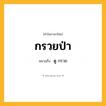 กรวยป่า ความหมาย หมายถึงอะไร?, คำในภาษาไทย กรวยป่า หมายถึง ดู กรวย