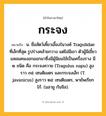 กระจง ความหมาย หมายถึงอะไร?, คำในภาษาไทย กระจง หมายถึง น. ชื่อสัตว์เคี้ยวเอื้องในวงศ์ Tragulidae ที่เล็กที่สุด รูปร่างคล้ายกวาง แต่ไม่มีเขา ตัวผู้มีเขี้ยวแหลมคมงอกออกมาซึ่งมีผู้นิยมใช้เป็นเครื่องราง มี ๒ ชนิด คือ กระจงควาย (Tragulus napu) สูงราว ๓๕ เซนติเมตร และกระจงเล็ก (T. javanicus) สูงราว ๒๕ เซนติเมตร, พายัพเรียก ไก้. (มลายู กันจิล).