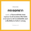 กระจอกชวา ความหมาย หมายถึงอะไร?, คำในภาษาไทย กระจอกชวา หมายถึง น. ชื่อนกขนาดเล็กชนิด Padda oryzivora ในวงศ์ Estrildidae มีถิ่นกําเนิดในเกาะชวาและเกาะบาหลี ประเทศอินโดนีเซีย เคยนํามาเลี้ยงใช้เสี่ยงทาย จึงเรียกว่า นกหมอดู.