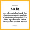 กระตั้ว ความหมาย หมายถึงอะไร?, คำในภาษาไทย กระตั้ว หมายถึง น. ชื่อนกปากงุ้มเป็นขอจําพวกหนึ่ง มีหลายชนิด หลายสกุล และหลายวงศ์ ลักษณะคล้ายนกแก้วแต่ตัวโตกว่า พบในทวีปออสเตรเลียและบริเวณใกล้เคียง เช่น กระตั้วหงอนเหลือง (Cacatua galerita) กระตั้วดํา (Probosciger aterrimus).