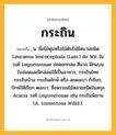 กระถิน ความหมาย หมายถึงอะไร?, คำในภาษาไทย กระถิน หมายถึง น. ชื่อไม้พุ่มหรือไม้ต้นไม่มีหนามชนิด Leucaena leucocephala (Lam.) de Wit ในวงศ์ Leguminosae ช่อดอกกลม สีนวล ฝักแบน ใบอ่อนและฝักอ่อนใช้เป็นอาหาร, กระถินไทย กระถินบ้าน กระถินยักษ์ หรือ สะตอเบา ก็เรียก, ปักษ์ใต้เรียก ตอเบา; ชื่อพรรณไม้หลายชนิดในสกุล Acacia วงศ์ Leguminosae เช่น กระถินพิมาน (A. tomentosa Willd.).