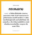 กระทงลาย ความหมาย หมายถึงอะไร?, คำในภาษาไทย กระทงลาย หมายถึง น. ชื่อไม้เถาเนื้อแข็งชนิด Celastrus paniculatus Willd. ในวงศ์ Celastraceae ใบรูปไข่ปลายแหลม ขอบจักถี่ ดอกเล็กขาว ๆ เหลือง ๆออกเป็นช่ออยู่ปลายกิ่ง ผลเท่าเมล็ดถั่วลันเตา เมื่อแก่แตกเป็น ๓ กลีบ นํ้ามันจากเมล็ดใช้ทํายา ตามไฟ หรือเคลือบกระดาษกันนํ้าซึม, กระทุงลาย หรือ มะแตก ก็เรียก.