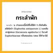 กระลำพัก ความหมาย หมายถึงอะไร?, คำในภาษาไทย กระลำพัก หมายถึง น. ส่วนของเนื้อไม้ซึ่งมีสีดํา ๆ เกิดในต้นสลัดไดป่า (Euphorbia antiquorum L.) และต้นตาตุ่มทะเล (Excoecaria agallocha L.) ในวงศ์ Euphorbiaceae กลิ่นหอมอ่อน รสขม ใช้ทํายาได้.