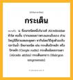 กระเต็น ความหมาย หมายถึงอะไร?, คำในภาษาไทย กระเต็น หมายถึง น. ชื่อนกชนิดหนึ่งในวงศ์ Alcedinidae หัวโต คอสั้น ปากแหลมยาวตรงและแข็งแรง ส่วนใหญ่มีสีสวยสดสะดุดตา หากินโดยวิธีพุ่งตัวลงจับปลาในนํ้า มีหลายชนิด เช่น กระเต็นปักหลัก หรือ ปักหลัก (Ceryle rudis) กระเต็นน้อยธรรมดา (Alcedo atthis) กระเต็นอกขาว (Halcyon smyrnensis).