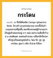 กระโดน ความหมาย หมายถึงอะไร?, คำในภาษาไทย กระโดน หมายถึง น. ชื่อไม้ต้นชนิด Careya sphaerica Roxb. ในวงศ์ Lecythidaceae ชอบขึ้นในป่าเบญจพรรณที่ชุ่มชื้น ดอกมีเกสรเพศผู้จํานวนมากเป็นพู่คล้ายดอกชมพู่ ขาว หอม ดอกบานเต็มที่กว้าง ๕-๘ เซนติเมตร ผลค่อนข้างกลม เปลือกใช้เบื่อปลาหรือทุบเป็นแผ่นปูหลังช้าง, โดน จิก ปุย ปุยกระโดน ปุยขาว หรือ ผ้าฮาด ก็เรียก.