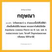 กฤษณา ความหมาย หมายถึงอะไร?, คำในภาษาไทย กฤษณา หมายถึง [กฺริดสะหฺนา] น. ส่วนของเนื้อไม้ซึ่งมีสีดํา เกิดเมื่อต้นไม้มีบาดแผล พบเฉพาะในต้นไม้ชนิด Aquilaria crassna Pierre ex H. Lec. และ A. malaccensis Lam. ในวงศ์ Thymelaeaceae กลิ่นหอม ใช้ทํายาได้.