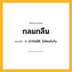 กลมกลืน ความหมาย หมายถึงอะไร?, คำในภาษาไทย กลมกลืน หมายถึง ก. เข้ากันได้ดี, ไม่ขัดแย้งกัน.