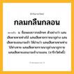 กลมกลืนกลอน ความหมาย หมายถึงอะไร?, คำในภาษาไทย กลมกลืนกลอน หมายถึง น. ชื่อเพลงยาวกลอักษร ตัวอย่างว่า แสนเสียดายหายห่างโอ้ แสนเสียดายกรายนาฏช่าง แสนเสียดายงอนงามเจ้า ให้อ่านว่า แสนเสียดายหายห่างโอ้ห่างหาย แสนเสียดายกรายนาฏช่างนาฏกราย แสนเสียดายงอนงามเจ้างามงอน. (จารึกวัดโพธิ์).