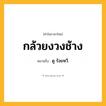 กล้วยงวงช้าง ความหมาย หมายถึงอะไร?, คำในภาษาไทย กล้วยงวงช้าง หมายถึง ดู ร้อยหวี.