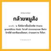 กล้วยหมูสัง ความหมาย หมายถึงอะไร?, คำในภาษาไทย กล้วยหมูสัง หมายถึง น. ชื่อไม้เถาเนื้อแข็งชนิด Uvaria grandiflora Roxb. ในวงศ์ Annonaceae มีแถบปักษ์ใต้ ดอกสีแดงเลือดนก, ย่านนมควาย ก็เรียก.