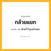 กล้วยแขก ความหมาย หมายถึงอะไร?, คำในภาษาไทย กล้วยแขก หมายถึง น. กล้วยนํ้าว้าชุบแป้งทอด.