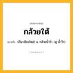 กล้วยใต้ ความหมาย หมายถึงอะไร?, คำในภาษาไทย กล้วยใต้ หมายถึง (ถิ่น-เชียงใหม่) น. กล้วยน้ำว้า. (ดู น้ำว้า).