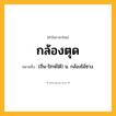 กล้องตุด ความหมาย หมายถึงอะไร?, คำในภาษาไทย กล้องตุด หมายถึง (ถิ่น-ปักษ์ใต้) น. กล้องไม้ซาง.