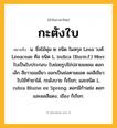 กะตังใบ ความหมาย หมายถึงอะไร?, คำในภาษาไทย กะตังใบ หมายถึง น. ชื่อไม้พุ่ม ๒ ชนิด ในสกุล Leea วงศ์ Leeaceae คือ ชนิด L. indica (Burm.f.) Merr. ใบเป็นใบประกอบ ใบย่อยรูปไข่ปลายแหลม ดอกเล็ก สีขาวอมเขียว ออกเป็นช่อตามยอด ผลสีเขียว ใบใช้ทํายาได้, กะดังบาย ก็เรียก; และชนิด L. rubra Blume ex Spreng. ดอกมีก้านช่อ ดอกและผลสีแดง, เขือง ก็เรียก.