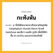 กะทังหัน ความหมาย หมายถึงอะไร?, คำในภาษาไทย กะทังหัน หมายถึง น. ชื่อไม้ต้นขนาดกลางถึงขนาดใหญ่ชนิด Calophyllum thorelii Pierre ในวงศ์ Guttiferae ดอกสีขาว ผลเล็ก รูปไข่ เนื้อไม้ใช้ทําพื้น ฝา เสาบ้าน และเสากระโดงเรือได้.