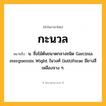 กะนวล ความหมาย หมายถึงอะไร?, คำในภาษาไทย กะนวล หมายถึง น. ชื่อไม้ต้นขนาดกลางชนิด Garcinia merguensis Wight ในวงศ์ Guttiferae มียางสีเหลืองจาง ๆ.