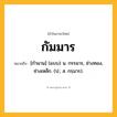 กัมมาร ความหมาย หมายถึงอะไร?, คำในภาษาไทย กัมมาร หมายถึง [กํามาน] (แบบ) น. กรรมาร, ช่างทอง, ช่างเหล็ก. (ป.; ส. กรฺมาร).
