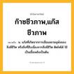 ก๊าซชีวภาพ,แก๊สชีวภาพ ความหมาย หมายถึงอะไร?, คำในภาษาไทย ก๊าซชีวภาพ,แก๊สชีวภาพ หมายถึง น. แก๊สที่เกิดจากการเสื่อมสลายผุพังของสิ่งมีชีวิต หรือสิ่งที่สืบเนื่องจากสิ่งมีชีวิต ติดไฟได้ ใช้เป็นเชื้อเพลิงเป็นต้น.