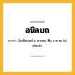อนิลบถ ความหมาย หมายถึงอะไร?, คำในภาษาไทย อนิลบถ หมายถึง [อะนิละบด] น. ทางลม, ฟ้า, อากาศ. (ป. อนิลปถ).