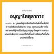 อนุญาโตตุลาการ ความหมาย หมายถึงอะไร?, คำในภาษาไทย อนุญาโตตุลาการ หมายถึง น. บุคคลที่คู่กรณีพร้อมใจกันตั้งขึ้นเพื่อให้ชำระตัดสินในข้อพิพาท; (กฎ) บุคคลคนเดียวหรือหลายคนที่คู่กรณีในสัญญาอนุญาโตตุลาการตกลงเสนอข้อพิพาททางแพ่งที่เกิดขึ้นแล้วหรือจะเกิดขึ้นในอนาคตให้ชี้ขาด.