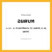 อมตบท ความหมาย หมายถึงอะไร?, คำในภาษาไทย อมตบท หมายถึง น. ทางพระนิพพาน. (ป. อมตปท; ส. อมฺฤตปท).