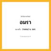 อมรา ความหมาย หมายถึงอะไร?, คำในภาษาไทย อมรา หมายถึง (กลอน) น. อมร.