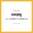 อมฤตยู ความหมาย หมายถึงอะไร?, คำในภาษาไทย อมฤตยู หมายถึง [อะมะรึดตะ-] น. ความไม่ตาย. (ส.).