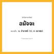 อมัจจะ ความหมาย หมายถึงอะไร?, คำในภาษาไทย อมัจจะ หมายถึง น. อํามาตย์. (ป.; ส. อมาตฺย).