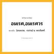 อมเรศ,อมเรศวร ความหมาย หมายถึงอะไร?, คำในภาษาไทย อมเรศ,อมเรศวร หมายถึง [อะมะเรด, -เรสวน] น. พระอินทร์.