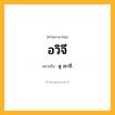 อวิจี ความหมาย หมายถึงอะไร?, คำในภาษาไทย อวิจี หมายถึง ดู อเวจี.