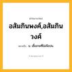 อสัมภินพงศ์,อสัมภินวงศ์ ความหมาย หมายถึงอะไร?, คำในภาษาไทย อสัมภินพงศ์,อสัมภินวงศ์ หมายถึง น. เชื้อสายที่ไม่เจือปน.