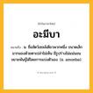 อะมีบา ความหมาย หมายถึงอะไร?, คำในภาษาไทย อะมีบา หมายถึง น. ชื่อสัตว์เซลล์เดียวพวกหนึ่ง ขนาดเล็กมากมองด้วยตาเปล่าไม่เห็น มีรูปร่างไม่แน่นอน ขยายพันธุ์ได้โดยการแบ่งตัวเอง. (อ. amoeba).