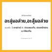 อะลุ่มอล่วย,อะลุ้มอล่วย ความหมาย หมายถึงอะไร?, คำในภาษาไทย อะลุ่มอล่วย,อะลุ้มอล่วย หมายถึง [-อะหฺล่วย] ก. ปรองดองกัน, ผ่อนหนักผ่อนเบาให้แก่กัน.