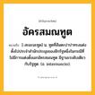 อัครสมณทูต ความหมาย หมายถึงอะไร?, คำในภาษาไทย อัครสมณทูต หมายถึง [-สะมะนะทูด] น. ทูตที่สันตะปาปาทรงแต่งตั้งไปประจําสํานักประมุขของอีกรัฐหนึ่งในกรณีที่ไม่มีการแต่งตั้งเอกอัครสมณทูต มีฐานะระดับเดียวกับรัฐทูต. (อ. internuncio).