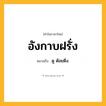 อังกาบฝรั่ง ความหมาย หมายถึงอะไร?, คำในภาษาไทย อังกาบฝรั่ง หมายถึง ดู ต้อยติ่ง.