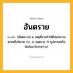 อันตราย ความหมาย หมายถึงอะไร?, คำในภาษาไทย อันตราย หมายถึง [อันตะราย] น. เหตุที่อาจทําให้ถึงแก่ความตายหรือพินาศ. (ป., ส. อนฺตราย ว่า อุปสรรคหรือภัยอันมาในระหว่าง).