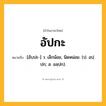 อัปกะ ความหมาย หมายถึงอะไร?, คำในภาษาไทย อัปกะ หมายถึง [อับปะ-] ว. เล็กน้อย, นิดหน่อย. (ป. อปฺปก; ส. อลฺปก).