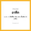 อาทึก ความหมาย หมายถึงอะไร?, คำในภาษาไทย อาทึก หมายถึง ว. เป็นที่ต้น, ก่อน, แรก, เบื้องต้น. (ป. อาทิก).