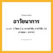 อาวัชนาการ ความหมาย หมายถึงอะไร?, คำในภาษาไทย อาวัชนาการ หมายถึง [-วัดชะ-] น. ความรําพึง; การรําลึก. (ป. อาวชฺชน + อาการ).