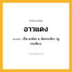 อาวแดง ความหมาย หมายถึงอะไร?, คำในภาษาไทย อาวแดง หมายถึง (ถิ่น-พายัพ) น. ต้นกระเจียว. (ดู กระเจียว).