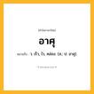 อาศุ ความหมาย หมายถึงอะไร?, คำในภาษาไทย อาศุ หมายถึง ว. เร็ว, ไว, คล่อง. (ส.; ป. อาสุ).