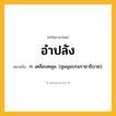 อำปลัง ความหมาย หมายถึงอะไร?, คำในภาษาไทย อำปลัง หมายถึง ก. เคลือบคลุม. (ชุมนุมบรมราชาธิบาย).