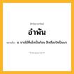 อำพัน ความหมาย หมายถึงอะไร?, คำในภาษาไทย อำพัน หมายถึง น. ยางไม้ที่แข็งเป็นก้อน สีเหลืองใสเป็นเงา.