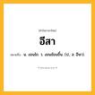 อีสา ความหมาย หมายถึงอะไร?, คำในภาษาไทย อีสา หมายถึง น. งอนไถ. ว. งอนช้อนขึ้น. (ป.; ส. อีษา).