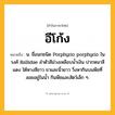 อีโก้ง ความหมาย หมายถึงอะไร?, คำในภาษาไทย อีโก้ง หมายถึง น. ชื่อนกชนิด Porphyrio porphyrio ในวงศ์ Rallidae ลําตัวสีม่วงเหลือบนํ้าเงิน ปากหนาสีแดง ใต้หางสีขาว ขาและนิ้วยาว วิ่งหากินบนพืชที่ลอยอยู่ในนํ้า กินพืชและสัตว์เล็ก ๆ.