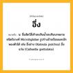 อึ่ง ความหมาย หมายถึงอะไร?, คำในภาษาไทย อึ่ง หมายถึง น. ชื่อสัตว์สี่เท้าสะเทินนํ้าสะเทินบกหลายชนิดในวงศ์ Microhylidae รูปร่างอ้วนป้อมและมักพองตัวได้ เช่น อึ่งอ่าง (Kaloula pulchra) อึ่งแว่น (Calluella guttulata).