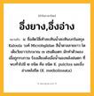 อึ่งยาง,อึ่งอ่าง ความหมาย หมายถึงอะไร?, คำในภาษาไทย อึ่งยาง,อึ่งอ่าง หมายถึง น. ชื่อสัตว์สี่เท้าสะเทินนํ้าสะเทินบกในสกุล Kaloula วงศ์ Microhylidae สีนํ้าตาลลายขาว โตเต็มวัยยาวประมาณ ๗ เซนติเมตร มักทําตัวพองเมื่อถูกรบกวน ร้องเสียงดังเมื่อนํ้านองหลังฝนตก ที่พบทั่วไปมี ๒ ชนิด คือ ชนิด K. pulchra และอึ่งอ่างหลังขีด (K. mediolineata).