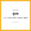 อุบล ความหมาย หมายถึงอะไร?, คำในภาษาไทย อุบล หมายถึง [-บน] น. บัวสาย. (ป. อุปฺปล; ส. อุตฺปล).