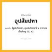 อุปสัมปทา ความหมาย หมายถึงอะไร?, คำในภาษาไทย อุปสัมปทา หมายถึง [อุปะสำปะทา, อุบปะสำปะทา] น. การบวชเป็นภิกษุ. (ป., ส.).